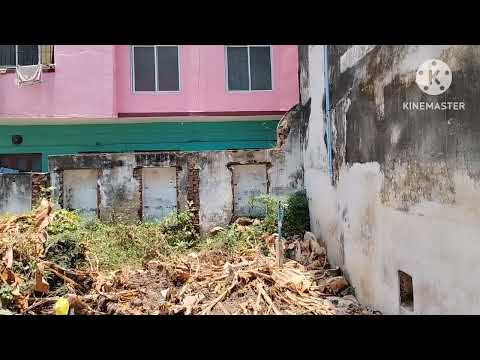  Residential Plot 1635 Sq.ft. for Sale in Mylapore, Chennai