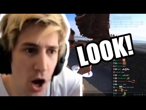xQc saw a bird for the first time