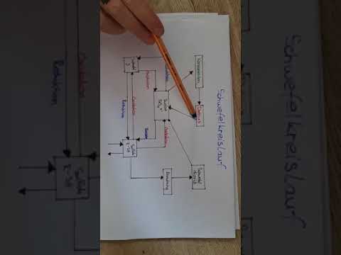 Schwefelkreislauf Bztg