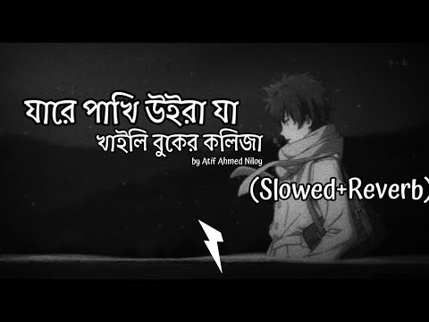 Jare Pakhi Uira Ja | যারে পাখি উইড়া যা | Atif Ahmed Niloy | (Slowed+Reverb) Bangla LoFi Mix