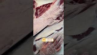 Download lagu ep 15k921 mp3 Download lagu ep 15k921 mp3