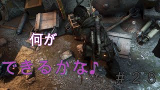 【トゥームレイダー】#28美しき冒険者:クリエイターララ！【KoC オヤビン＆コビン】
