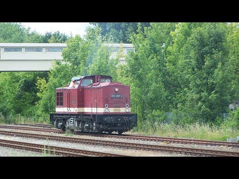 NR 040 - V100 Ost (202 483-4) macht kurze Führerstandsmitfahrten in Ahrensfelde