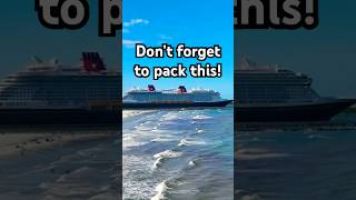 The ONE Cruise Essential I Forgot… Don’t Make My Mistake!