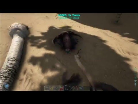 ARK - The Invincible, Wall-Climbing Trilobite