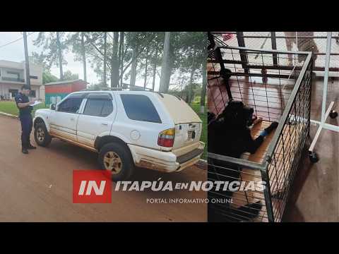 ARROLLAMIENTO DE PERRO GENERA INTERVENCIÓN POLICIAL EN ALTO VERÁ