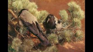 Whippoorwill [Cover of song by Randle Chowning]