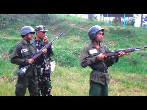 Peningkatan potensi pada malam yang sama Vetapteki patogen kuda