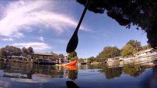 preview picture of video 'manatee SUP // crystal river, florida'