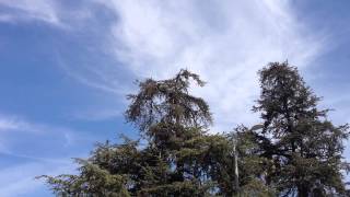 Matt Skiba ENDEAVOR footage