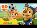 PAW Patrol Pups Play Sports & Learn Healthy Habits! w/ Skye & Chase | 1 Hour Compilation | Nick Jr.