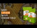Насіння кукурудзи ЕС Перспектив (Lidea) — зерновий гібрид ФАО 240 для Полісся, Лісостепу та Степу