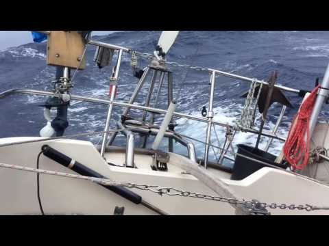 Mot Kanarieöarna i en Monsun 31