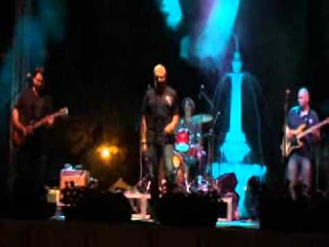 Zsola és a Vad Orchideák