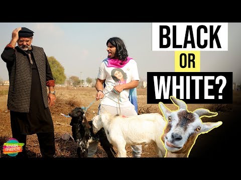 Black or White | Nasreen | Rahim Pardesi
