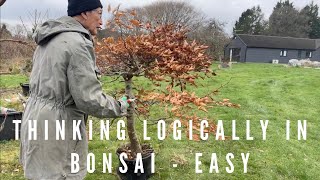 Thinking Logically in Bonsai   Easy
