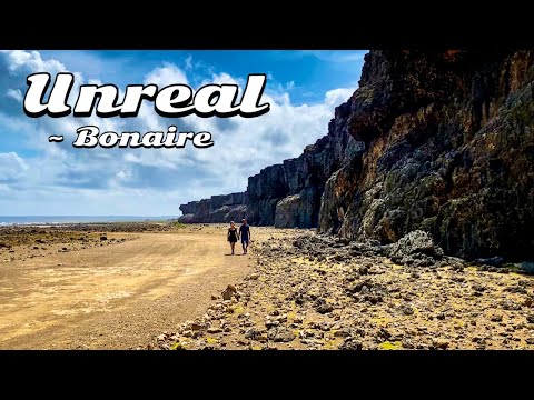 Best of Bonaire - We are not lost We are just still wandering!