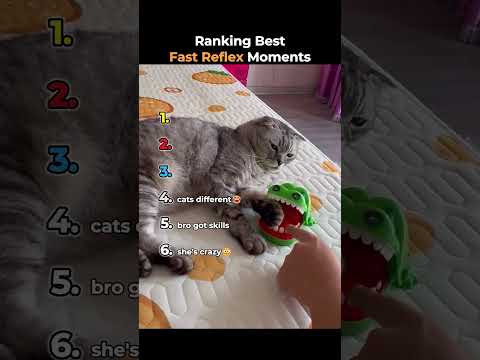 Ranking Best Fast Reflex Moments
