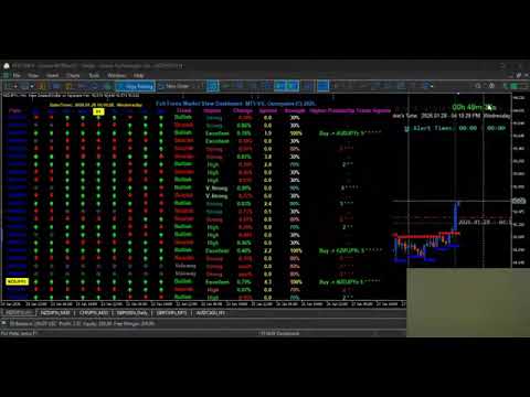 Video Full Forex Market View Dashboard