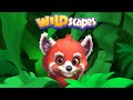 Wildscapes: Create a zoo of your dreams!