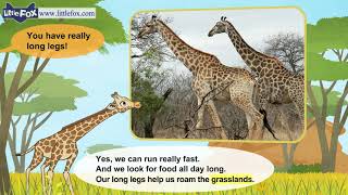 L2 016 Meet the Animals 16  Giraffe