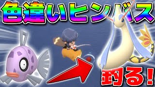 【入手困難】色違いヒンバス釣り上げたったw【ポケモンBDSP】