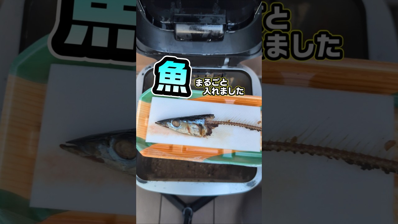 たった1日で魚が肥料にかわります