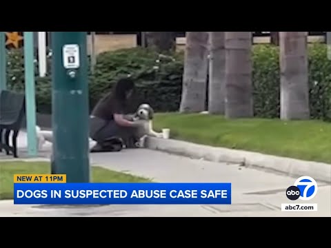 Dogs rescued after suspected abuse caught on video in Anaheim, police say