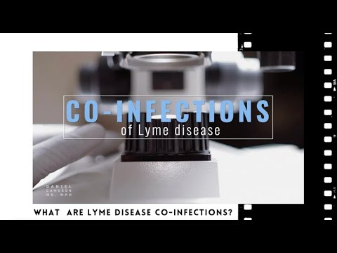 What are Lyme disease co-infections?
