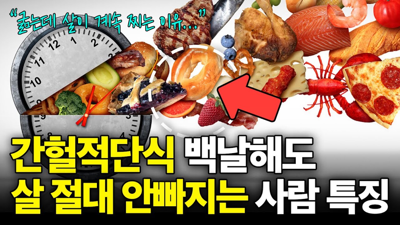 드림핏 유튜브