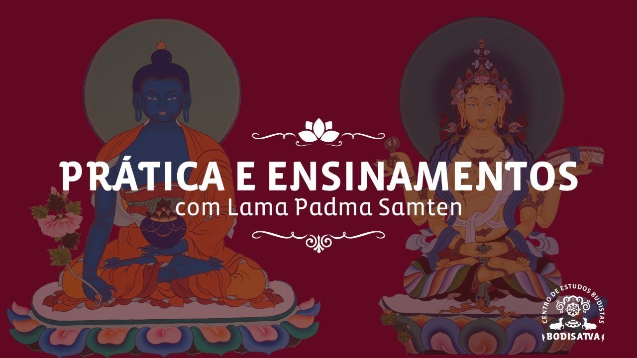 #1579 Puja Diário | 07/08/24