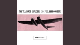 Bent Out Of Shape (BBC Session Peel Plus 1981)