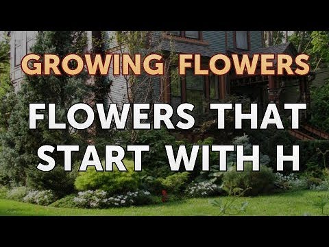 download lagu mp3 mp4 Common Plants That Start With E, download lagu Common Plants That Start With E gratis, unduh video klip Common Plants That Start With E