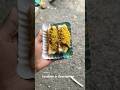 Surat Best Masala Pav Wow Foodie Surat