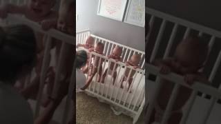 faze tari bebelusii hazlii