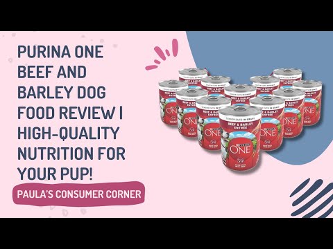 Testing Purina One Beef and Barley Dog Food For Allergic Dogs