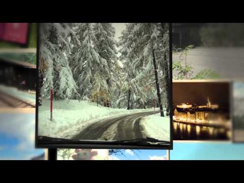 AFS Switzerland 2013-2014 (Orbán Tamás)