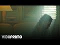 Galante "El Emperador" - Si Se Da [Official Video]