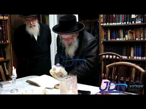 Narol Rebbe Kaporos Erev Yom Kippur 5782