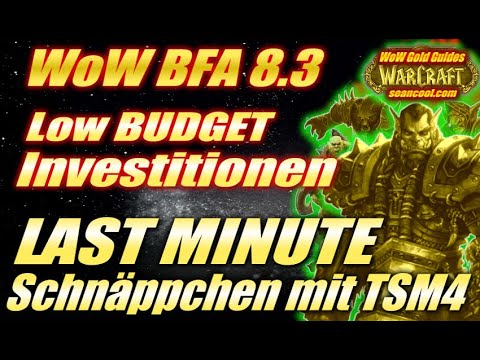 LAST MINUTE Schnäppchen mit TSM4 📈low BUDGET Investitionen 🤑| WoW BFA 8.3. Anfänger Gold Guide