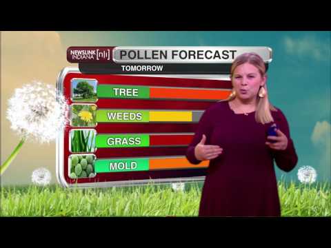 NewsLink Indiana Weather September 12, 2016 - Kalie Pluchel