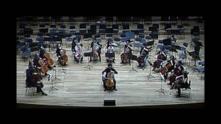 Damián Martínez; Cello concert in A minor; R.Schumann; Cellocyl 2016