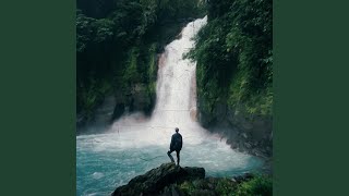 Into The Wild