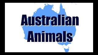 Australian animals in their environments | Make Science Fun