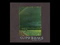 Clipd Beaks - To Realize (2010) 🔨 FULL CD 🔨