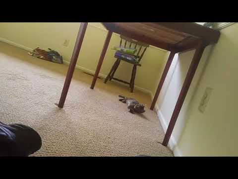 Keziah finds a Treasure