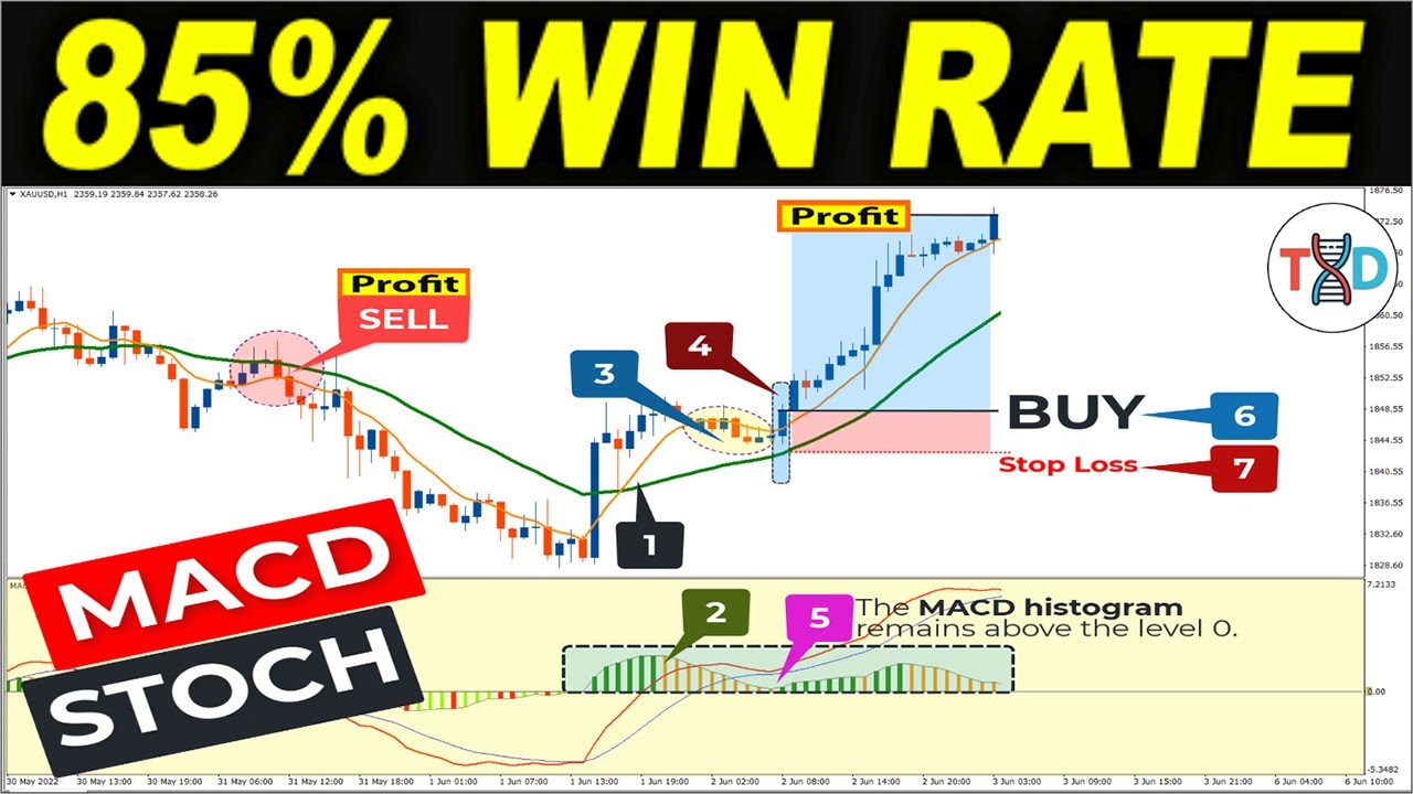 🔴 [1000 Pips/Day Trading] Best MACD & STOCHASTIC Strategy (With 1:5 Risk Reward Ratio)