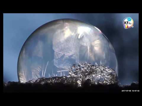 2017 07 05 PM Public Teaching in Romanian - Cursuri publice în română