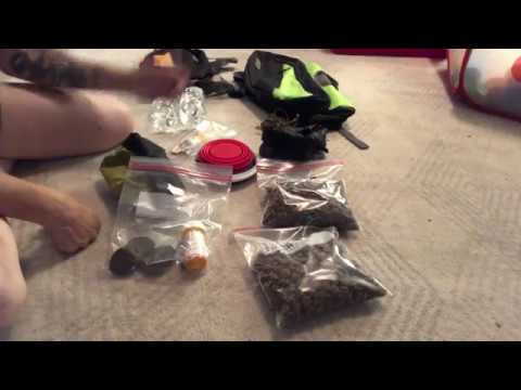 How to Pack BUG OUT BAGS FOR DOGS