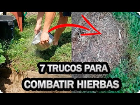👉7 Formas RAPIDAS y EFICACES De Acabar Con MALAS HIERBAS En El Huerto O Jardín